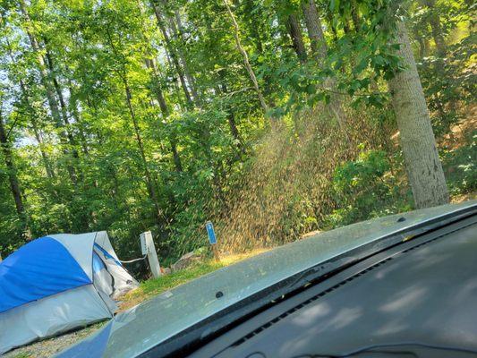 Landscapers raining wood chips and saw dust on my tent.