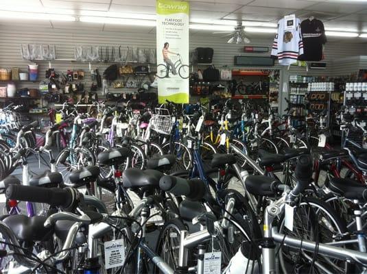 Bikes Galore!