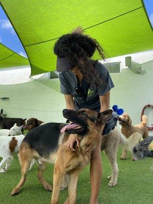 Handler with pups at Somi!