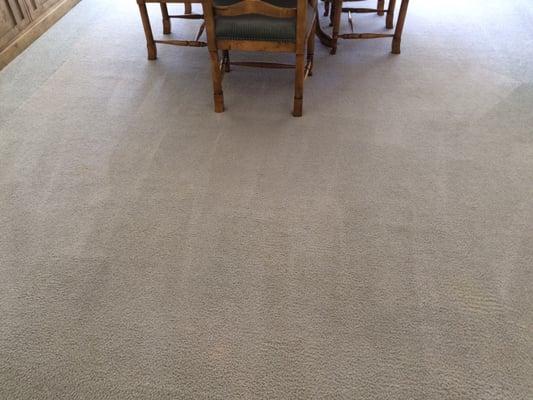 Ding room carpet. All the dog stains are GONE!!  Great job