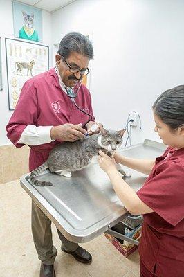 Head-to-toe examinations include weight, temperature, eyes, ears, nose, mouth, hair, heart and lungs and more.