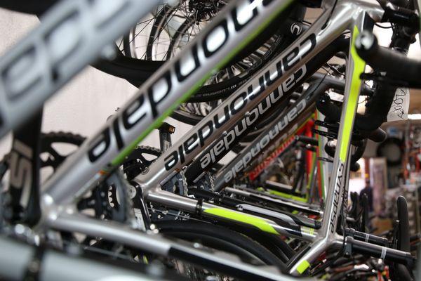 cannondale road bikes