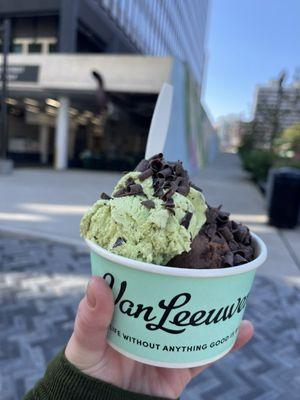 Mint Chip + Fudge Brownie