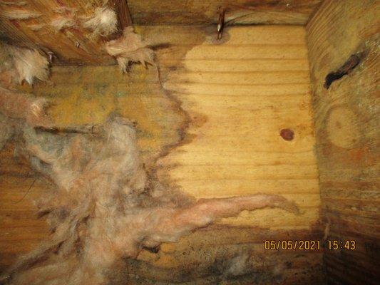 Water damage in lower floor bathroom ceiling. Water intrusion was from a damaged chimney.