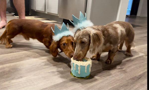 Birthday cake and birthday hat