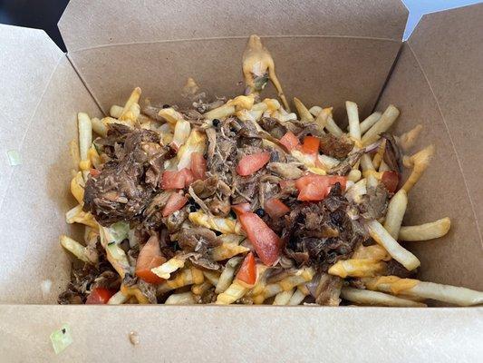 Chicken Adobo Fries (enough for 2 to share)