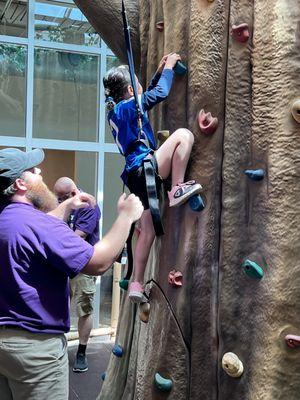 Tree climber