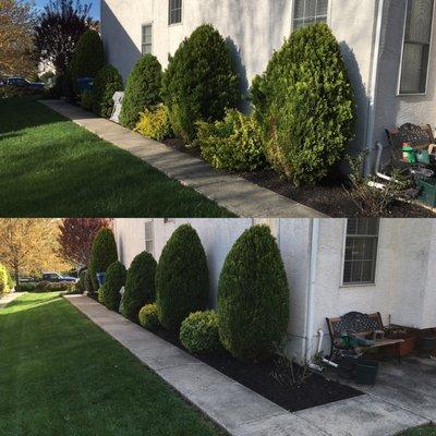 Quick Lawn Care Services LLC Bush/Hedge/Mulch