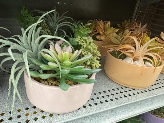 Faux succulents