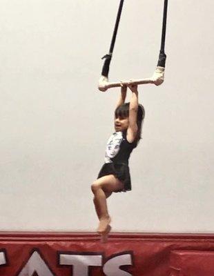 Gymcats Gymnastics