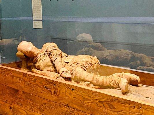 6/23 Early Kingdom Egyptian mummy 4000+ years old