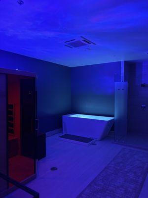 Recovery Room- Cold Plunge and Infrared Sauna