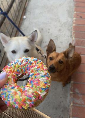 The best local-made treat after the best day getting dirty with the doggos.