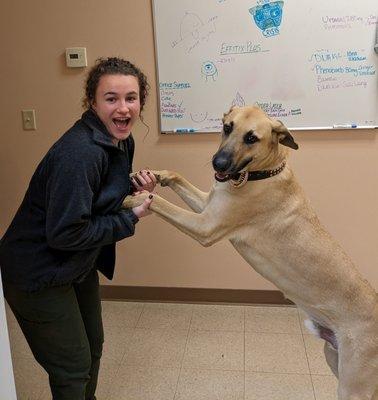 Team Lead Emily playing with her dog Koa during downtime