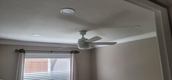 Ceiling fan and light