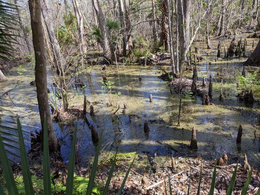 Water observed from higher up on the main trail