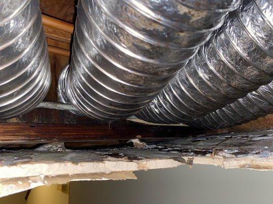 more evidence of untreated moisture issues related to bad hvac installation