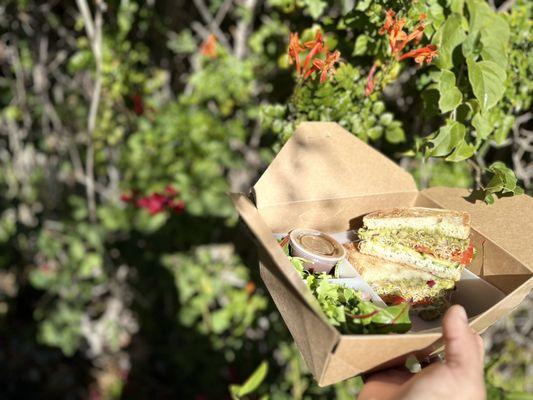 Veggie sandwich, cream cheese spread, cucumber, avo, sprouts and tomatoe w a salad!