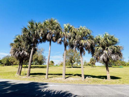 Upper Tampa Bay Trail