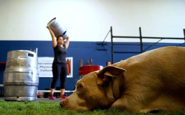 Such a typical BodyTribe photo: A strong woman, with a dog in the foreground.