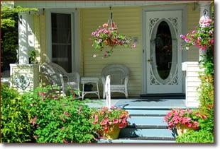 Hanging Plants for Mothers Day!