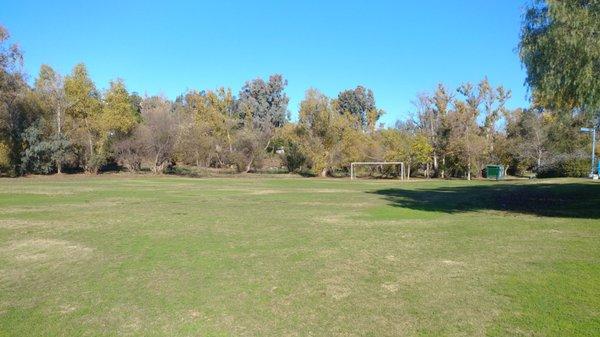 Soccer Field