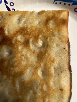 Moldy pizza