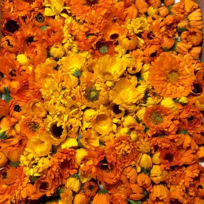 We love calendula!