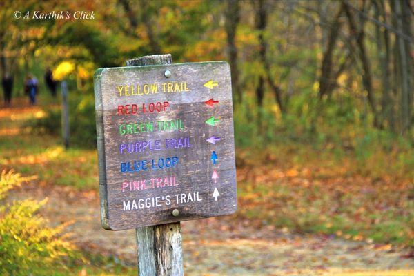 Plainsboro Preserve