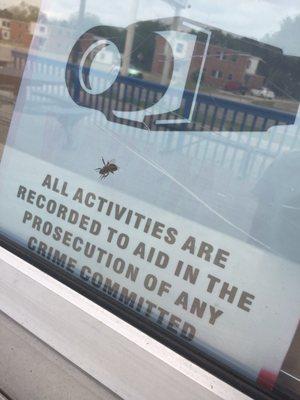 outside is ONE thing but to see this on the inside totally disgusted me. This place seriously needs to invest in an exterminator.