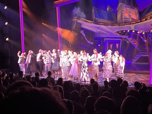 The amazingly talented company of Beetlejuice during curtain call!