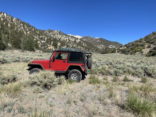 05 Jeep in the right place.