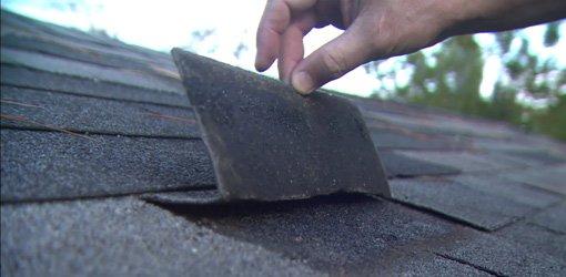 Suspected asbestos containing asphalt roof shingle