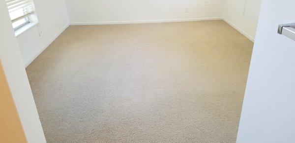 Carpet Cleaning - After