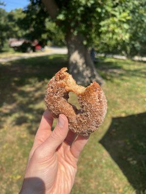 Apple Cider Donut