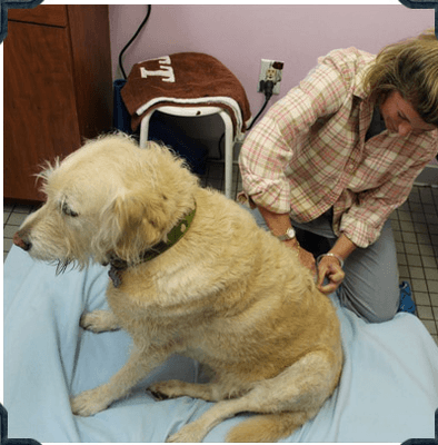 Dr. Levitsky working with patient