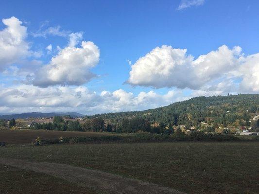 View from top of the Peace trail. Picture doesn't do it justice!