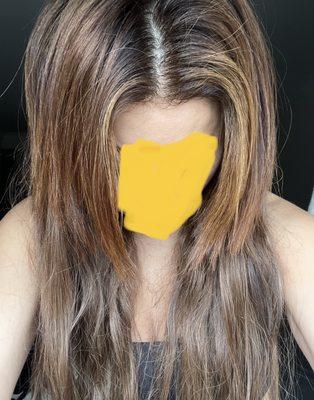 My hair on top , extensions under-no color match