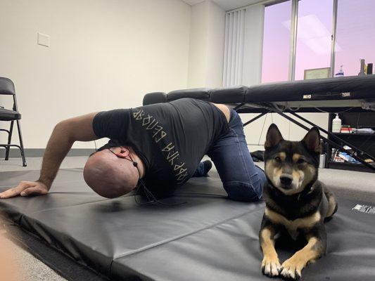 Mobility training with our therapy dog!