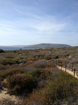 Trail on top of the coastline