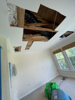 FDP Mold Remediation of Ellicott City