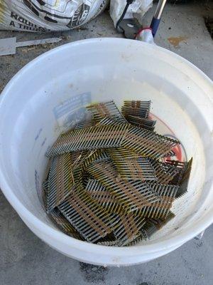 Just a few of the nails we picked up out of our yard. (That's a 5 gallon bucket)