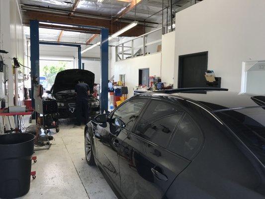 Professional BMW repair shop! Any issue other shop can't fix on your car, bring to Jason, he will fix others can't.