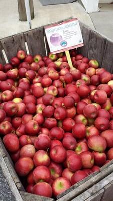 Rome apples were nice and red.