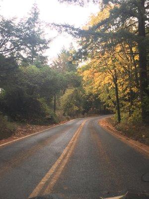 On the drive there. A few Peaceful and pretty road curves before the center