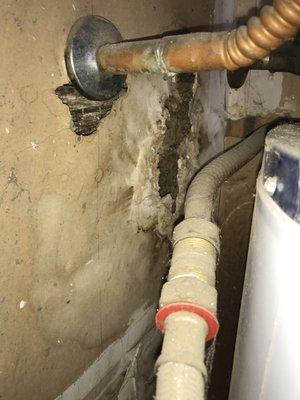 Stalactite formed from a long-term water heater leak. Considerable damage to surroundings.