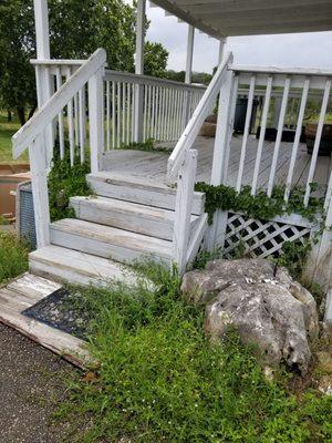 Poison ivy is living well.  Weeds everywhere. What you can't see is bottles, cans and more trash along the roadway.