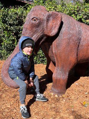 Gavyn enjoyed his mammoth seat