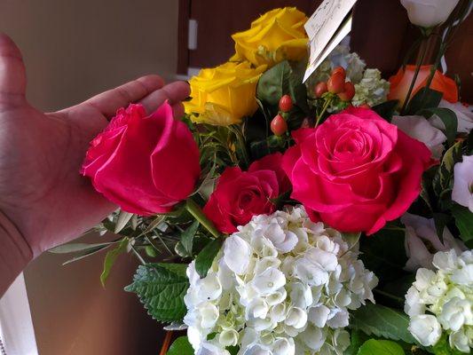 huge red roses were lovely