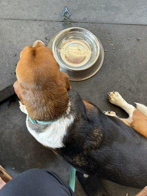 Dog friendly patio -- even have water bowls